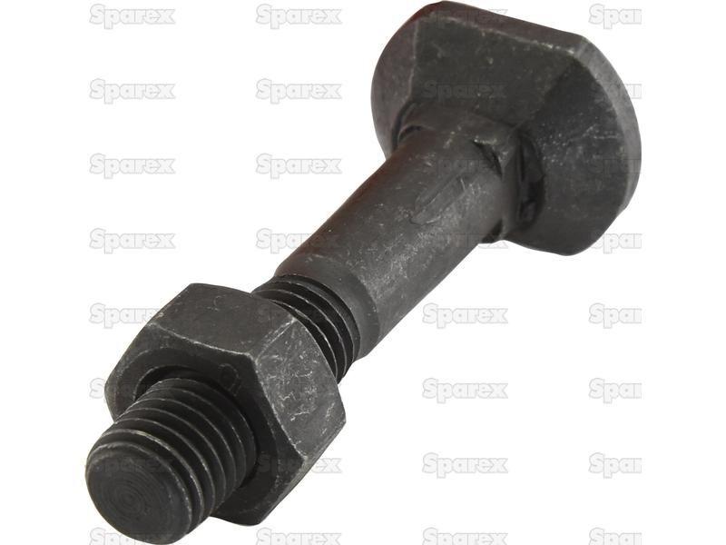Rectangular Head Bolt With Nut (TRCC) - M12 x 60mm, Tensile strength 12.9 (8 pcs. Agripak)