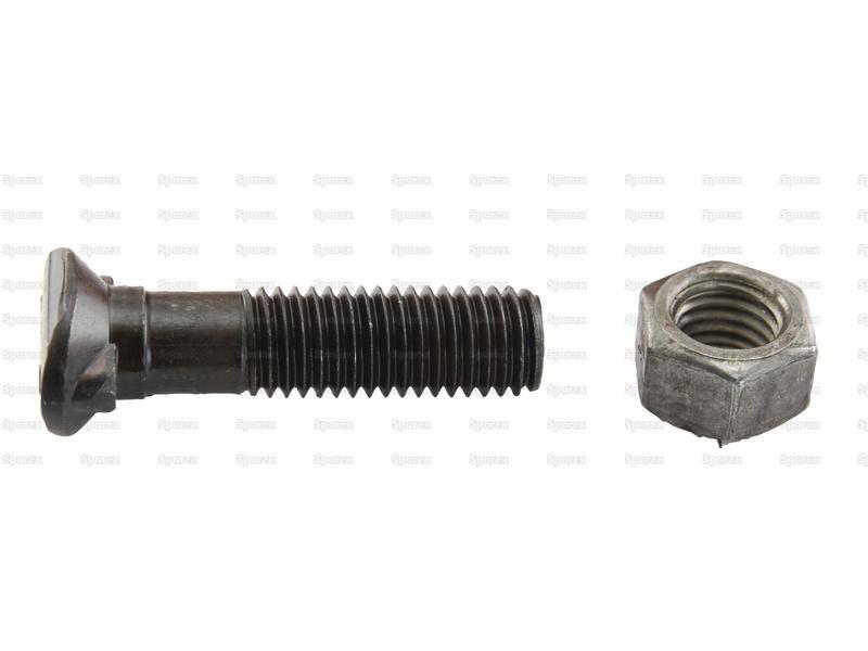 Oval Head Double Nib Bolt With Nut (TO2E) - M12 x 50mm, Tensile strength 10.9 (10 pcs. Agripak)