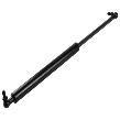 Massey Ferguson Gas Spring