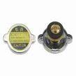 Massey Ferguson Radiator Cap