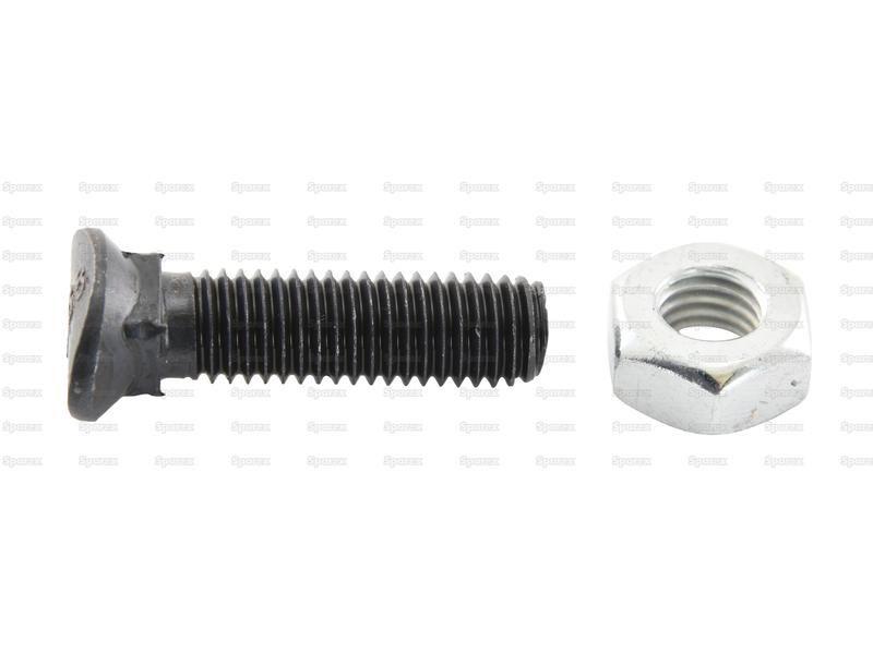 Oval Head Bolt Square Collar With Nut (TOCC) - M12 x 48mm, Tensile strength 8.8 (10 pcs. Agripak)