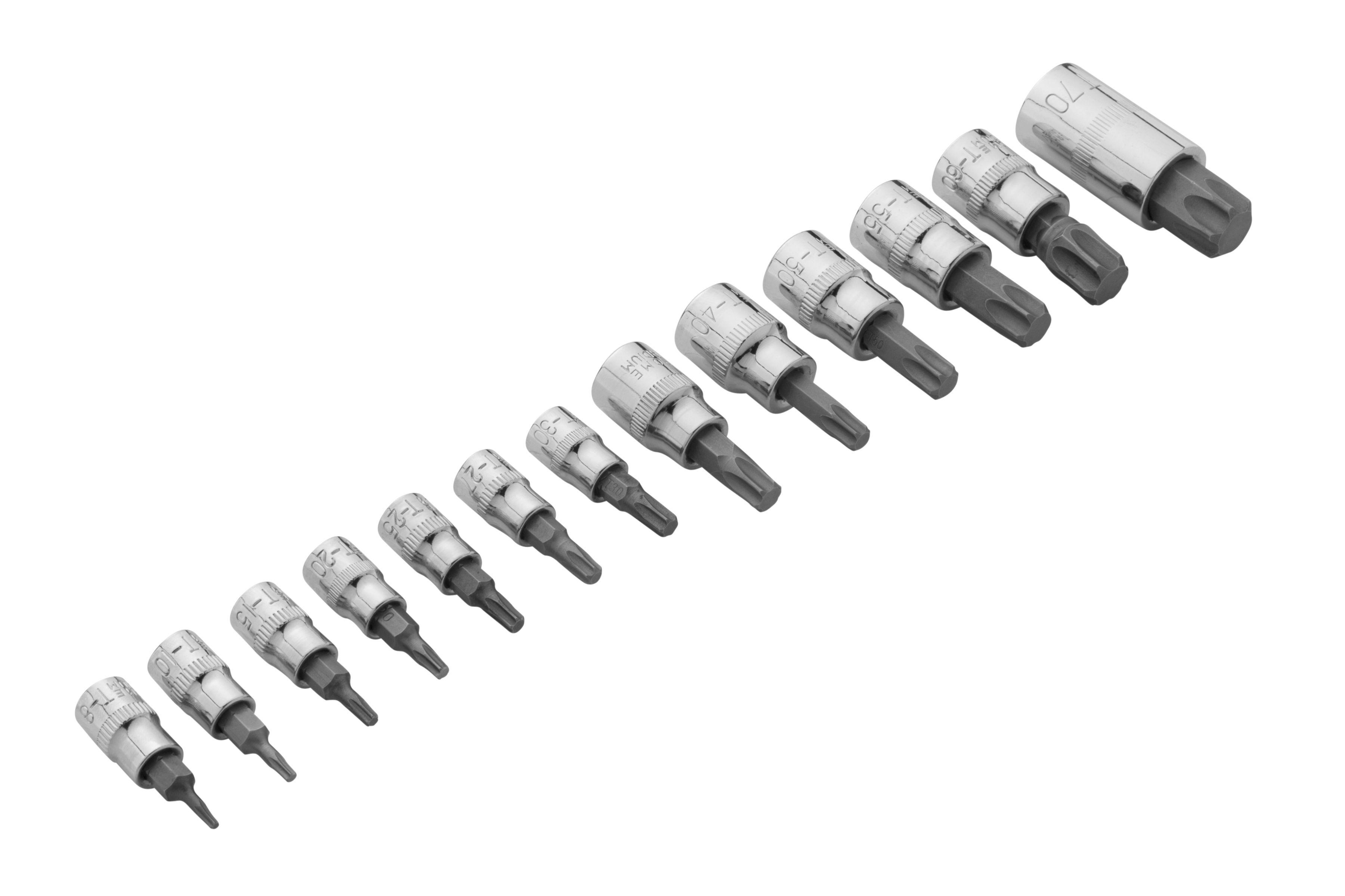 Blue Spot Tools 13 PCE Torx Socket Bit Set (T8-T60)