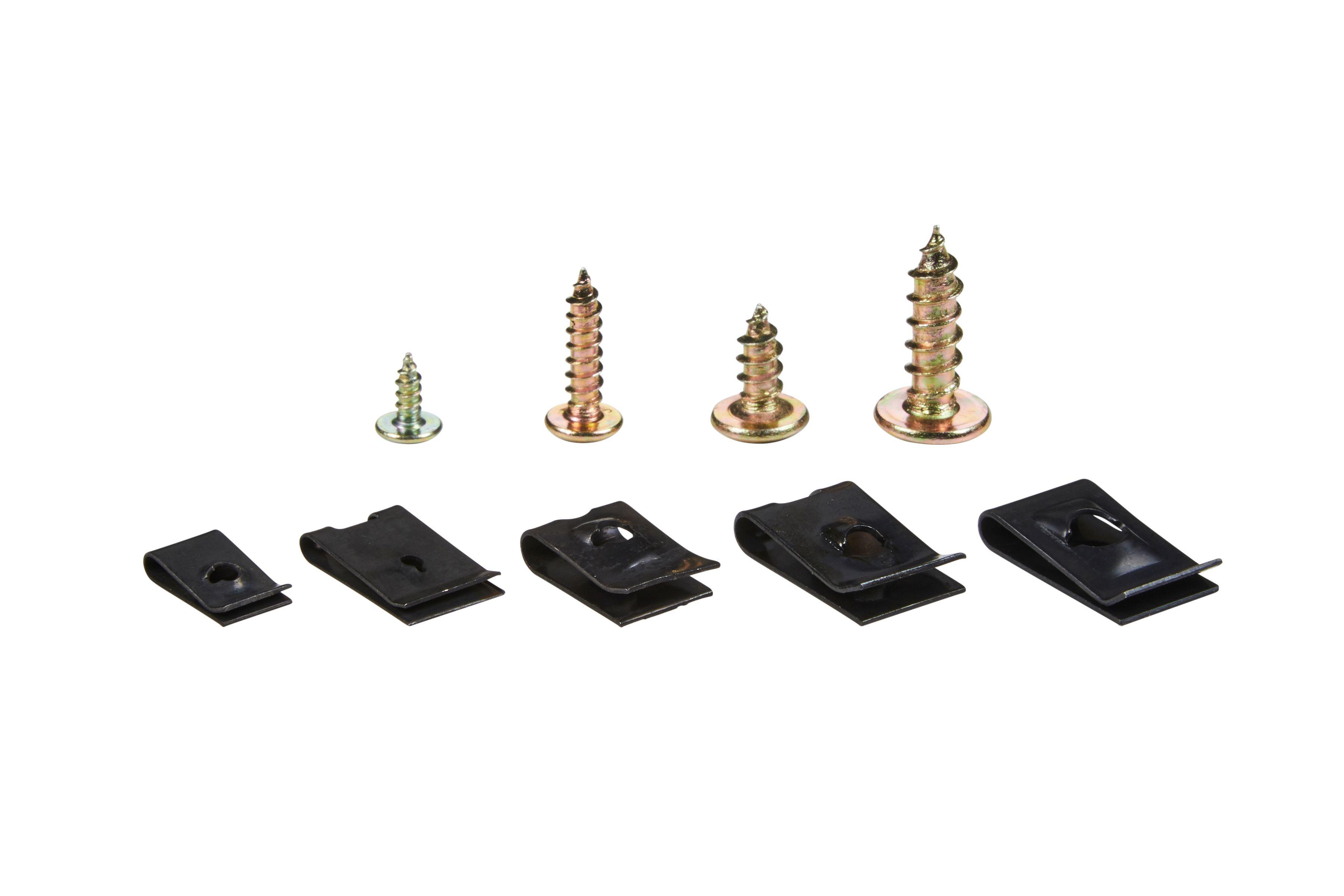 Blue Spot Tools 170 PCE Assorted U-Clip and Screw Set
