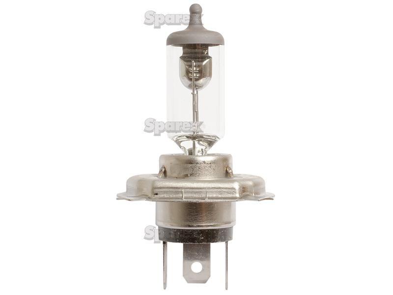 Halogen Head Light Bulb, 12V, 55W, P43t Base Case IH, HELLA LTD, Lucas, OSRAM, Phillips