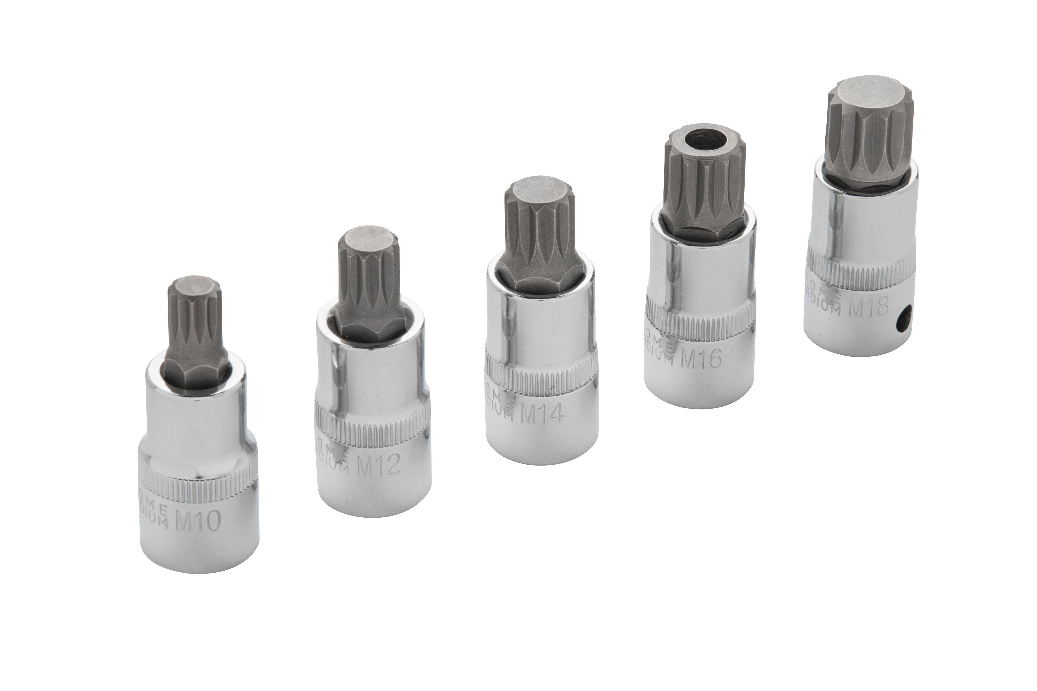 Blue Spot Tools 5 PCE 1/2" Spline Bit Set (M10-M18) (EVA FOAM)
