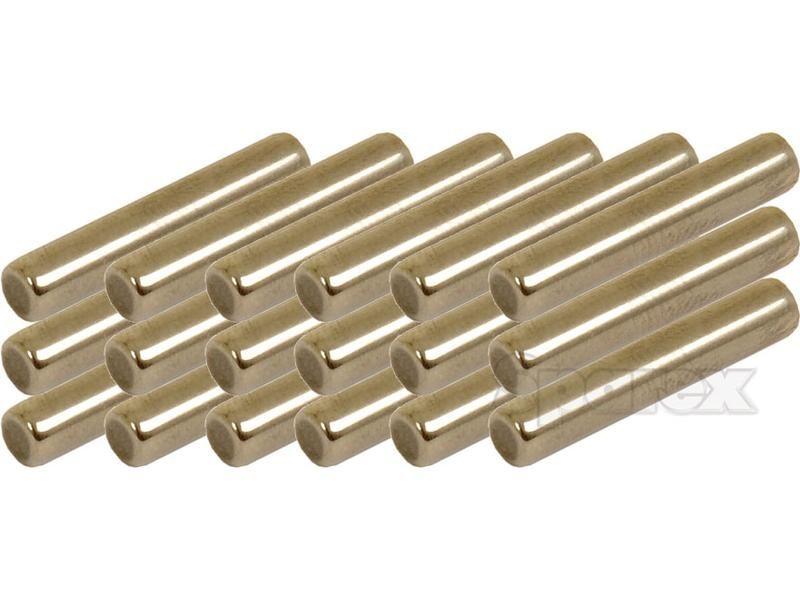 Needle Bearing (18 pcs.) for Steyr 6145CVT