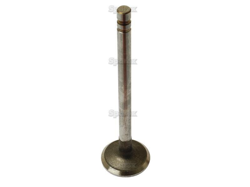 Exhaust Valve Standard for Ford New Holland TW5 (TW Series)