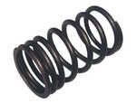 Massey Ferguson Valve Spring