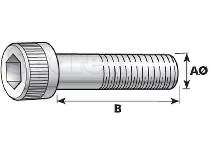 Socket Capscrew, Size: M3 x 12mm (Din 912)