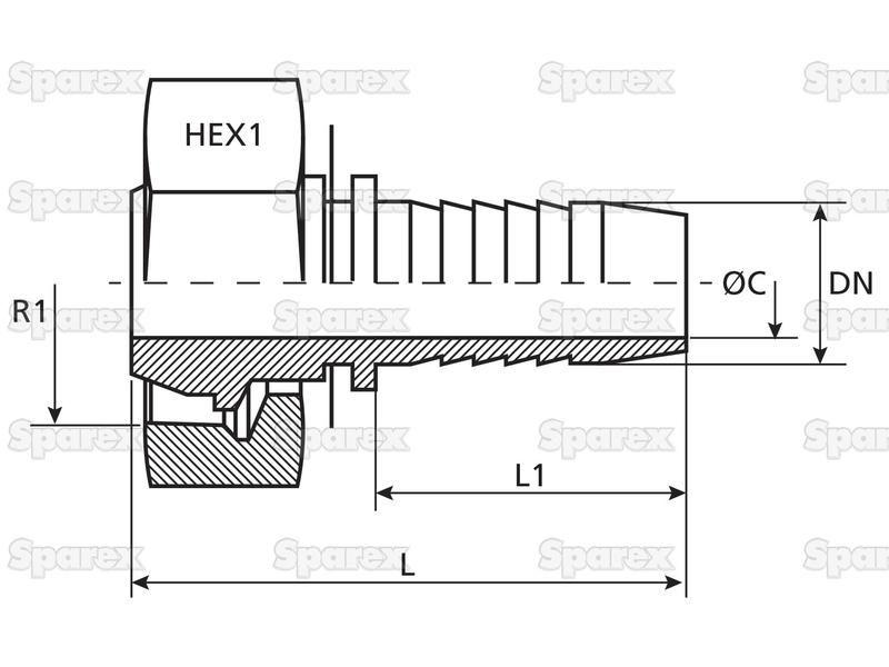 Dicsa Metric (French Gas) 24° Hose Insert 3/4'' x M36 x 1.5 Female Thread Straight Swivel