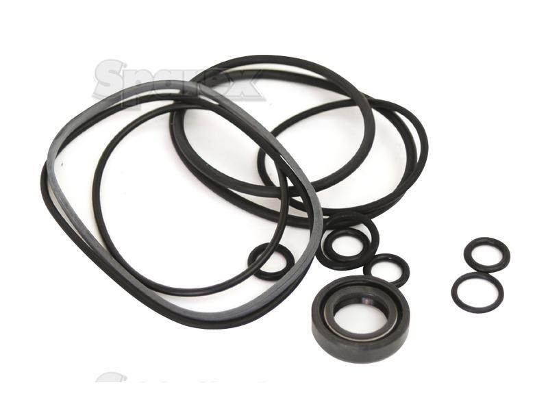 Seal Kit for Ford New Holland TW35 (TW Series)