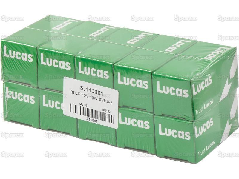 Halogen Side | Indicator Bulb, 12V, 10W, SV8.5 Base Lucas (264, LLB264)