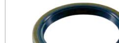 New Holland Oil Seal 818663901390411029