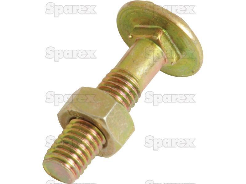 Metric Carriage Bolt and Nut, Size: M8 x 40mm (Din 603/555)