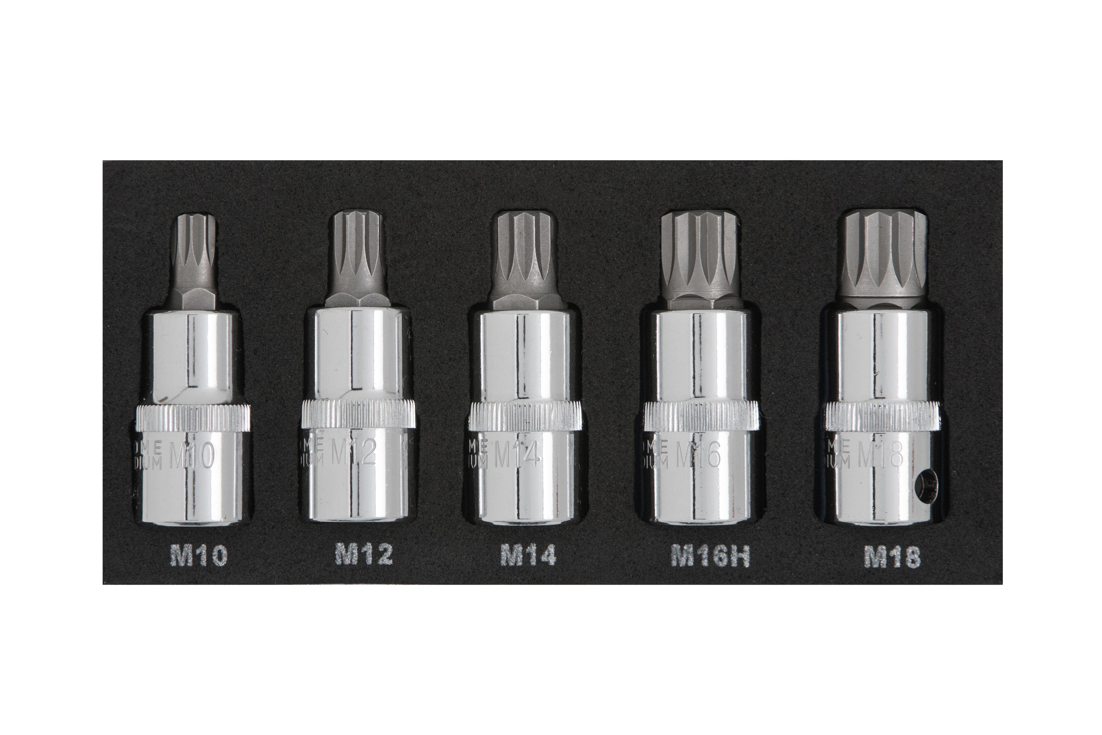 Blue Spot Tools 5 PCE 1/2" Spline Bit Set (M10-M18) (EVA FOAM)