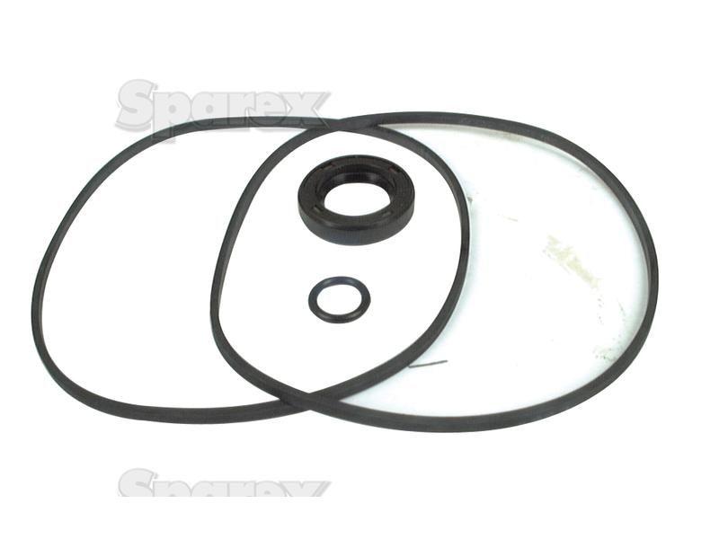 Seal Kit (Hydraulic Pump) for Case IH 1294 (94 Series)