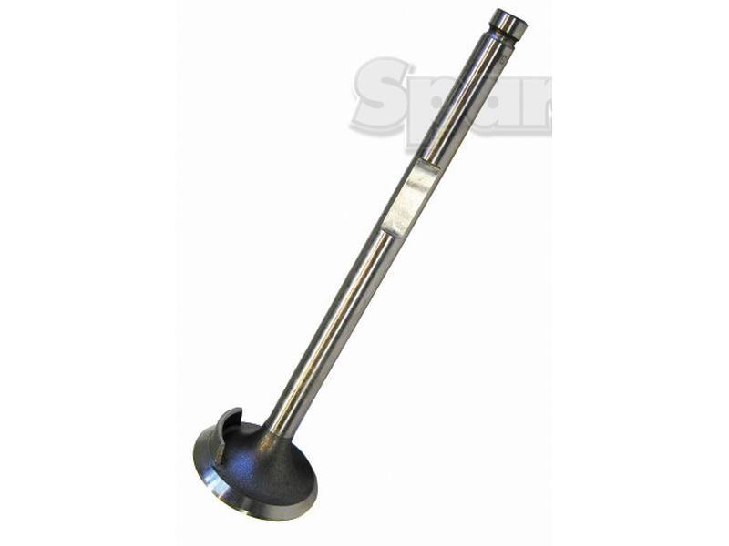 Inlet Valve, for Leyland 4100 (Leyland)