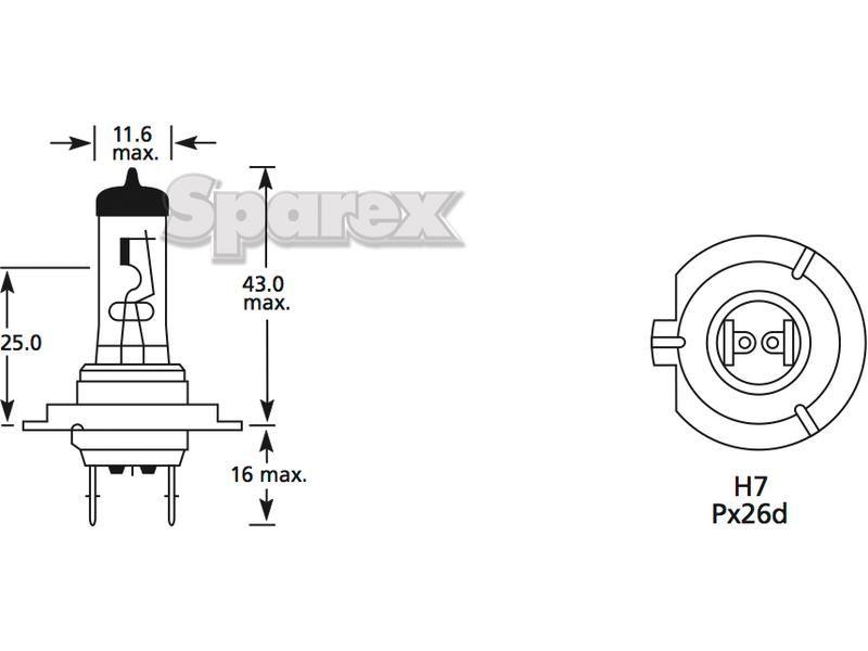 Halogen Head Light Bulb, 12V, 55W, PX26d Base Case IH, Lucas