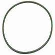 Massey Ferguson Seal Ring