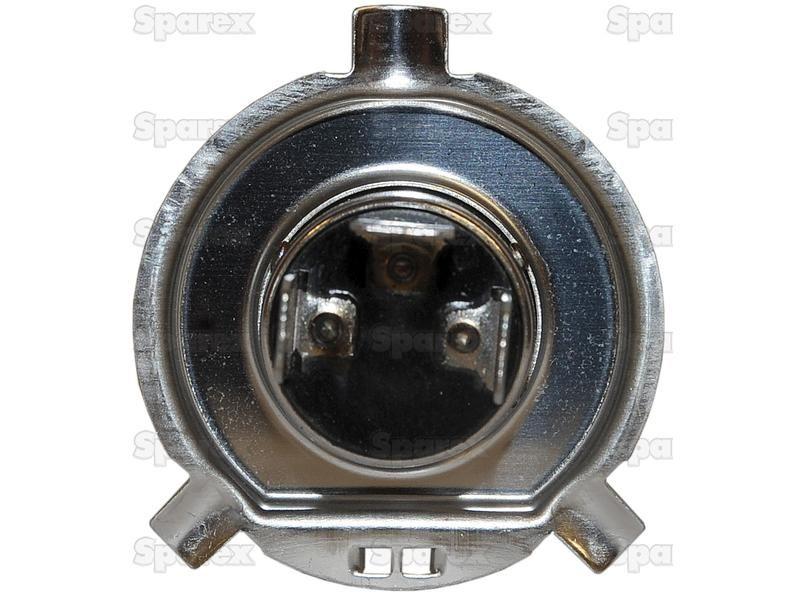 Halogen Head Light Bulb, 12V, 55W, P43t Base