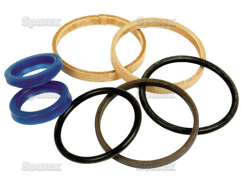 Seal Kit for Case IH, David Brown, Carraro