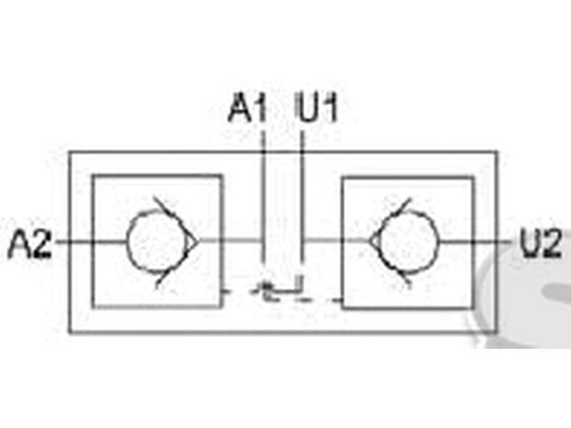 Hydraulic Double Acting Check Valve 3/8''BSP Bondioli & Pavesi (VRDE02FFF)