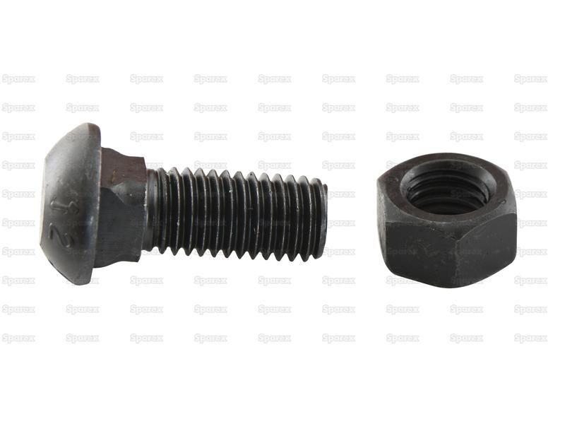 Cup Head Bolt (TBCC) - M12 x 30mm (10 pcs. Agripak)