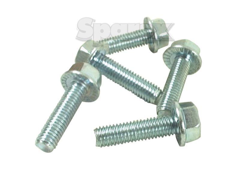 Serated Flange Bolt, Size: M6 x 20mm
