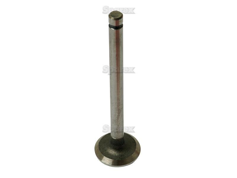 Exhaust Valve Standard for Massey Ferguson 20C (Industrial Tractors)