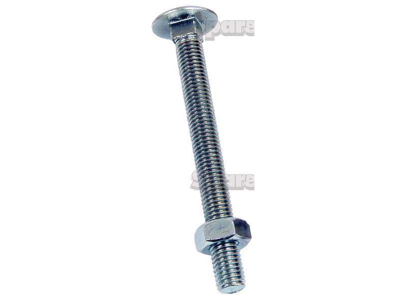 Metric Carriage Bolt and Nut, Size: M10 x 140mm (Din 603/555)