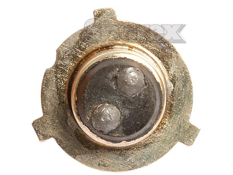 Halogen Head Light Bulb, 12V, 35W, P15d-3 Base for Yanmar 226
