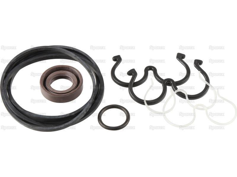 Hydraulic Pump Repair Kit for Steyr 485 KOMPAKT
