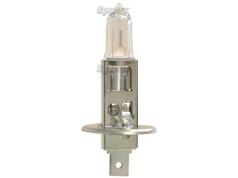 Halogen Plough Bulb, 12V, 100W, P14.5s Base Lucas (481, LLB481)