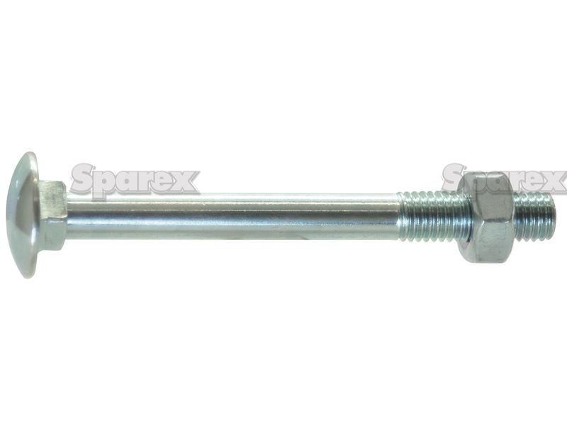 Metric Carriage Bolt and Nut, Size: M5 x 30mm (Din 603/555)