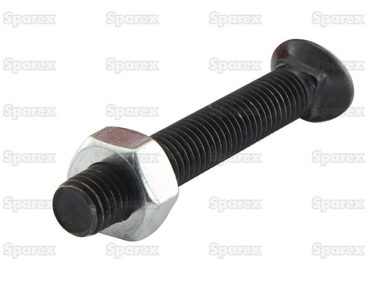 Oval Head Bolt Square Collar With Nut (TOCC) - M10 x 45mm, Tensile strength 8.8 (25 pcs. Box) for Universal VARIOUS