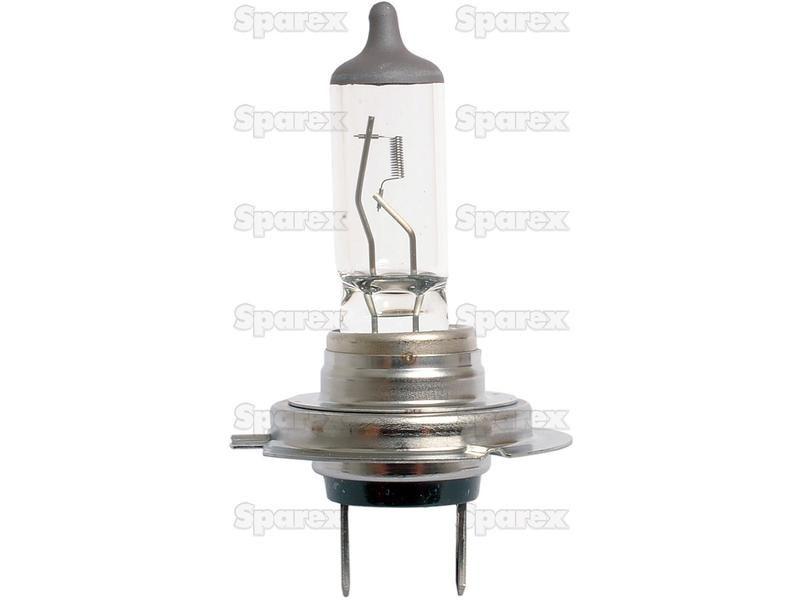 Halogen Head Light Bulb, 12V, 55W, Base