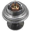 Massey Ferguson Thermostat