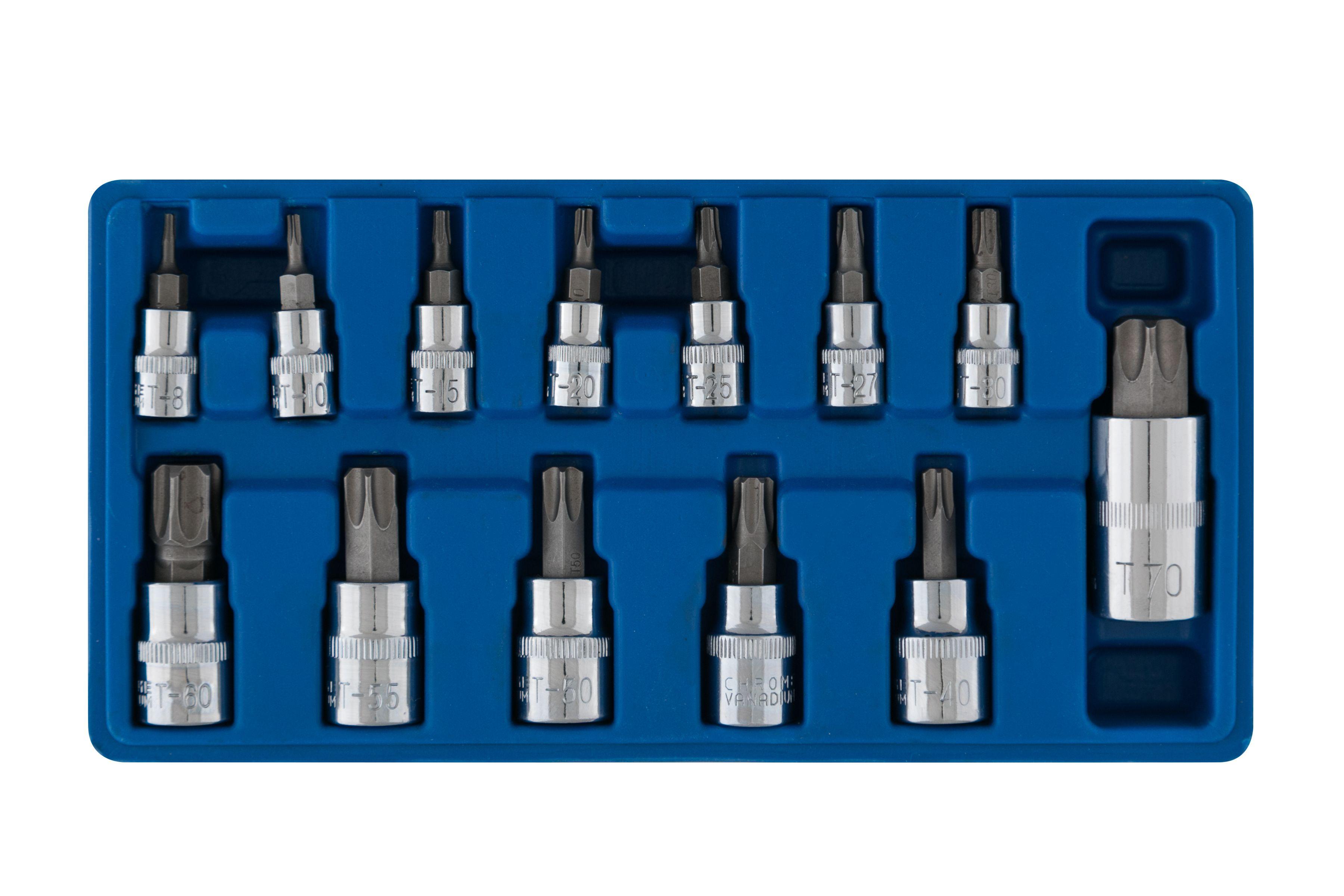 Blue Spot Tools 13 PCE Torx Socket Bit Set (T8-T60)