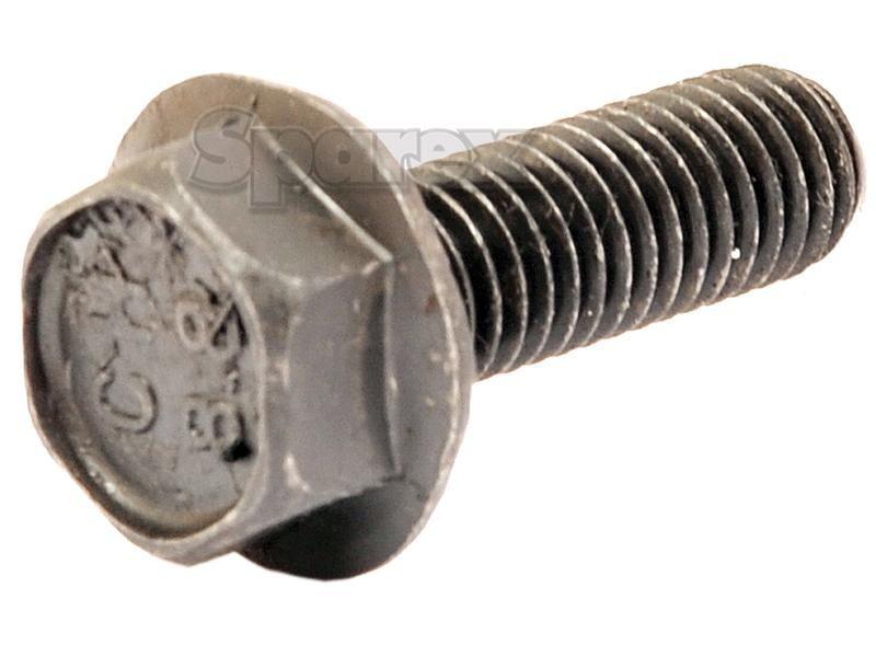Screw - M8 x 25mm (Bag of 5) for Battioni Pagani Pomp