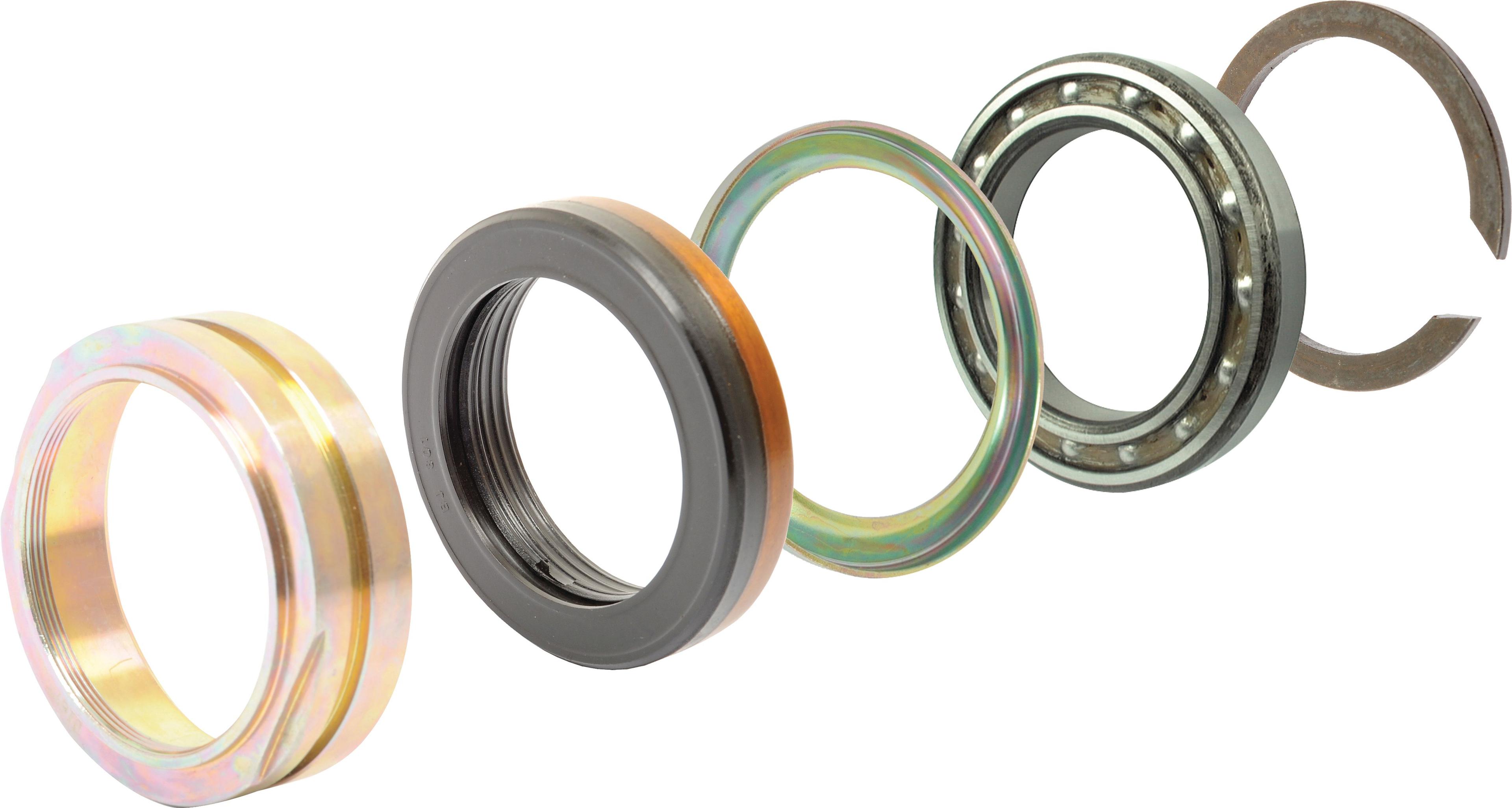 CHALLENGER SEAL KIT-PTO (SINGLE SPEED) 43931