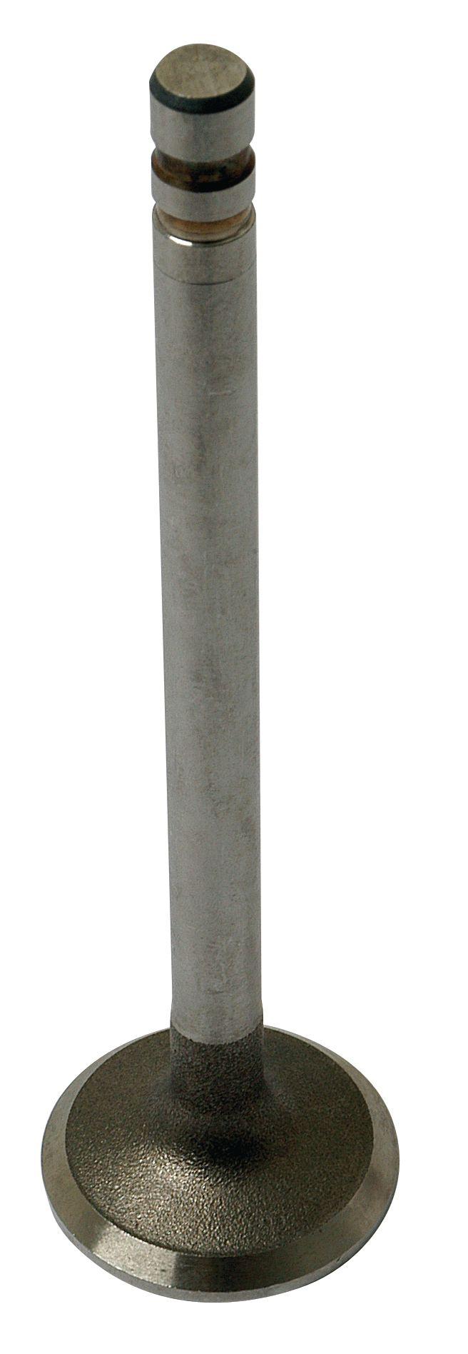 FORD NEW HOLLAND VALVE-EXHAUST 65923