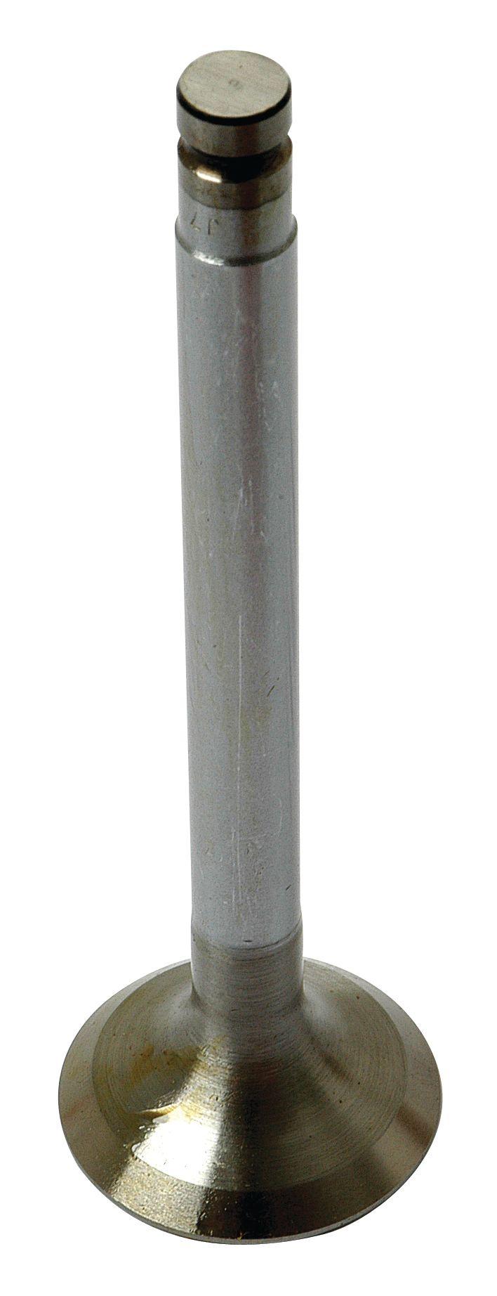 MASSEY FERGUSON VALVE-EXHAUST+0.030" 40494