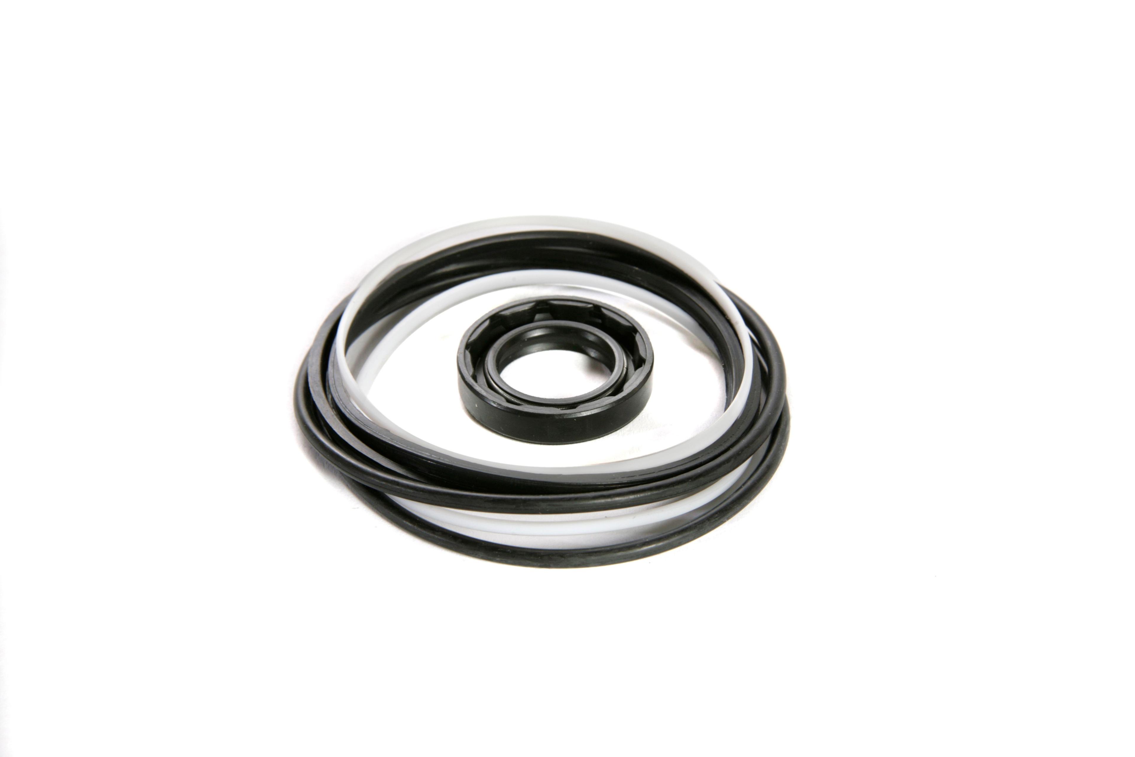 MASSEY FERGUSON TRACTOR SEALS KIT (AGCO) 1493867M91