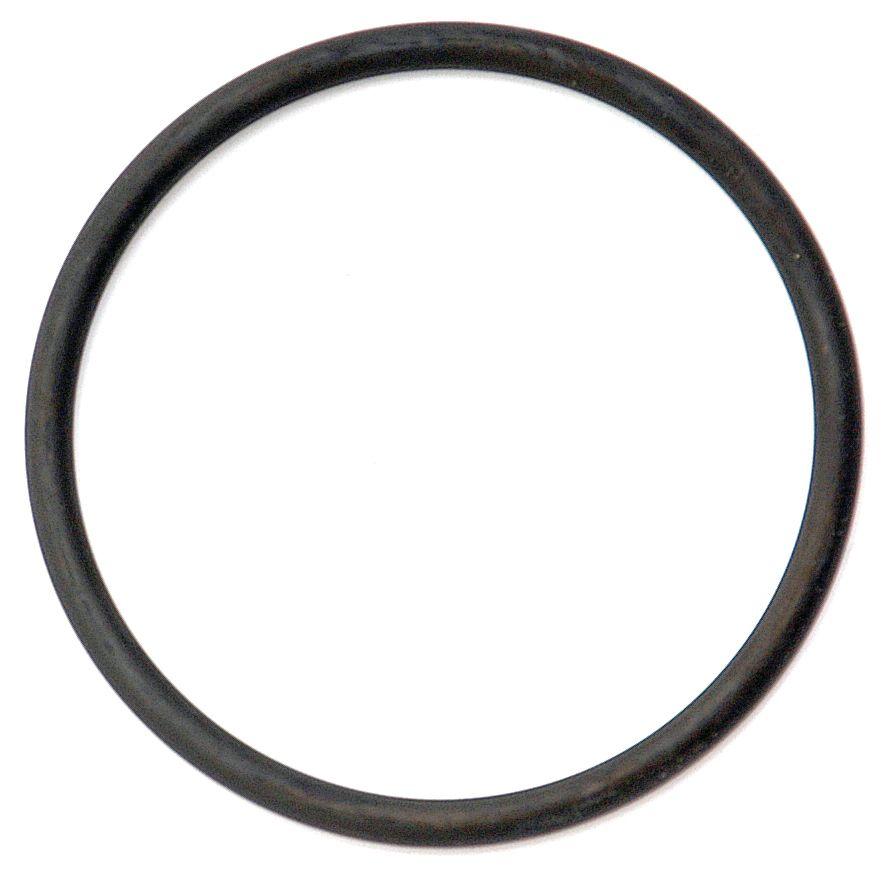 FORD NEW HOLLAND O'RING 66304