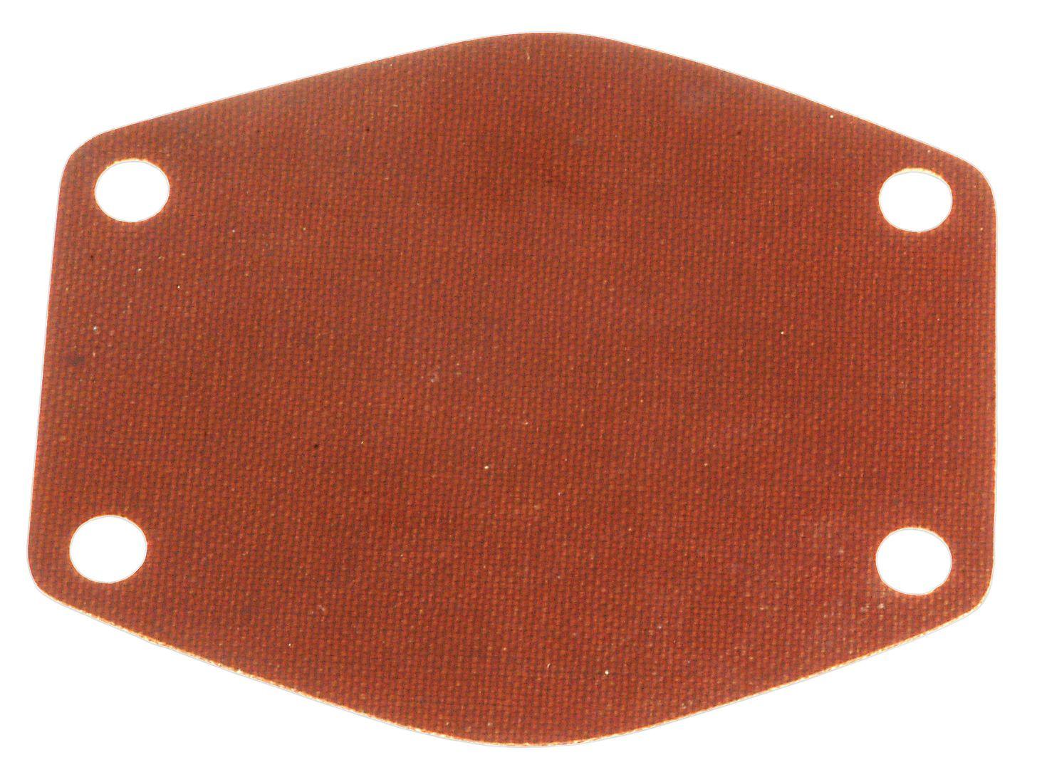 LANDINI BACK PLATE-WATERPUMP-FIBRE 41349