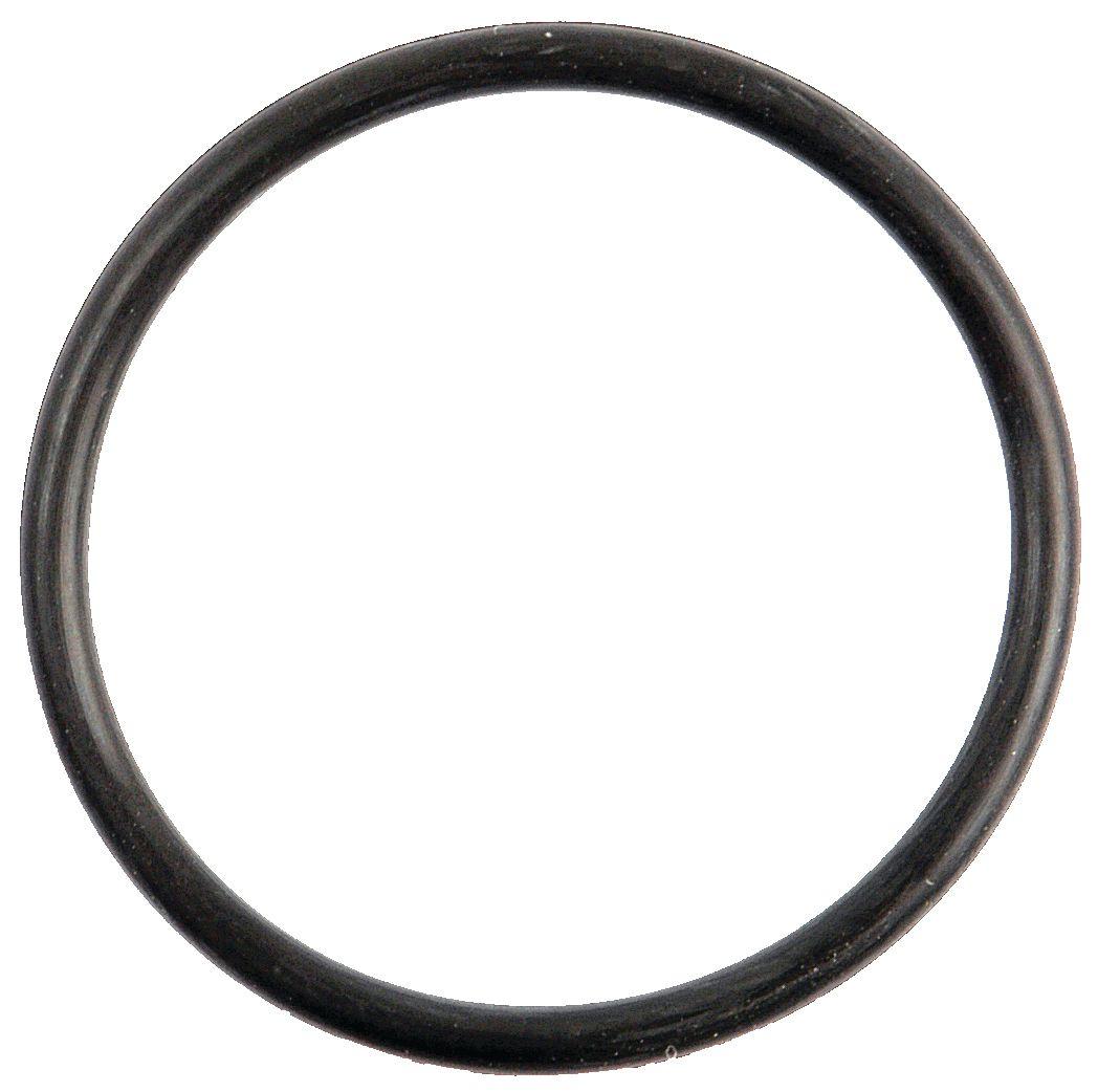 FORD NEW HOLLAND O'RING-3/32"X1.3/8" 10353