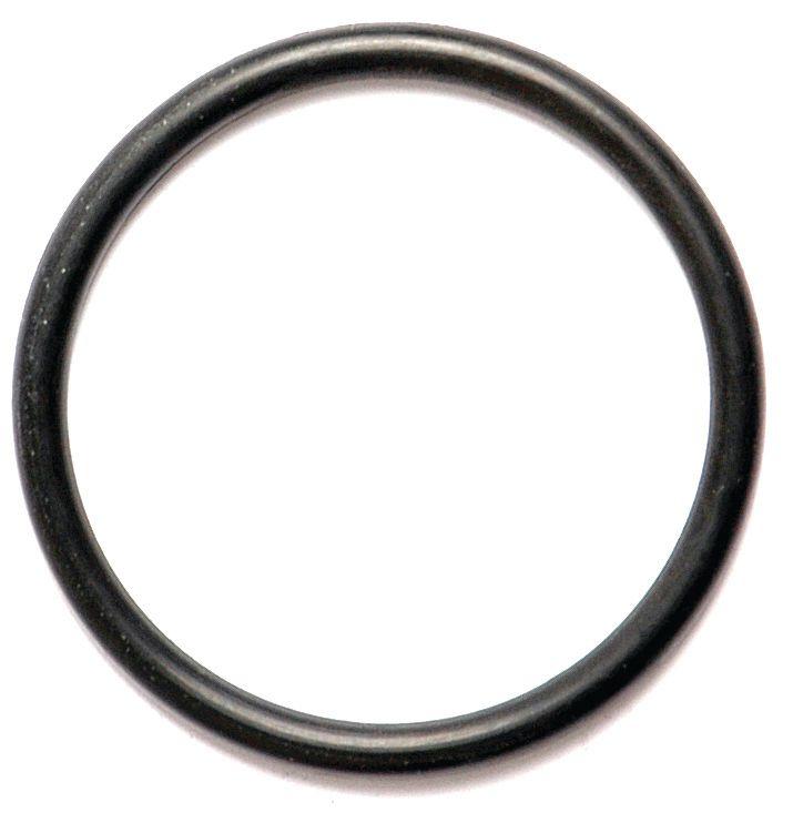 FORD NEW HOLLAND O'RING-1/8"X1.5/8" 14527