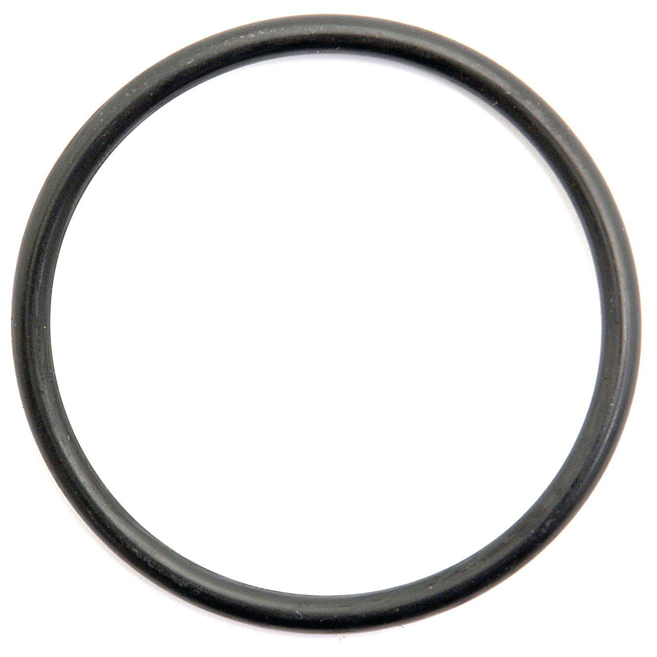 FORD NEW HOLLAND O'RING 65813