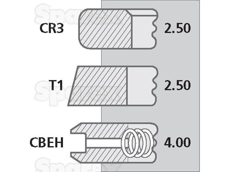 Piston Ring for Massey Ferguson 8926 (Telescopic Handlers)