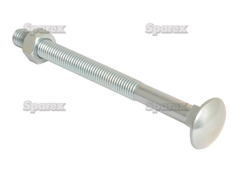 Metric Carriage Bolt and Nut, Size: M12 x 150mm (Din 603/555)